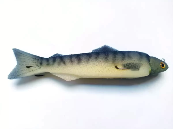 spuzvene ribe_15-30_6