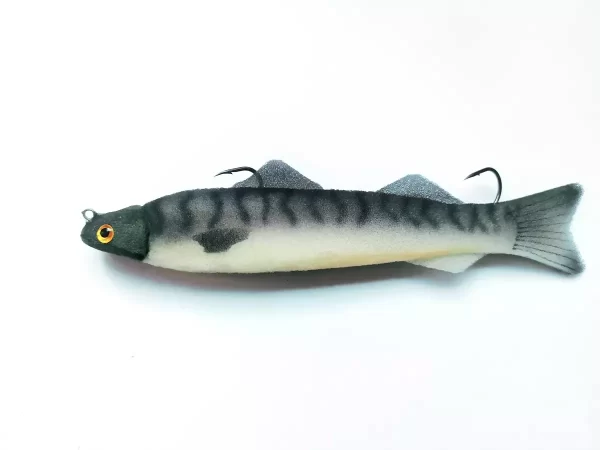 spuzvene ribe_20-34_2