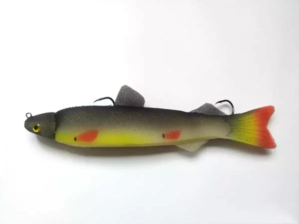 spuzvene ribe_20-34_3