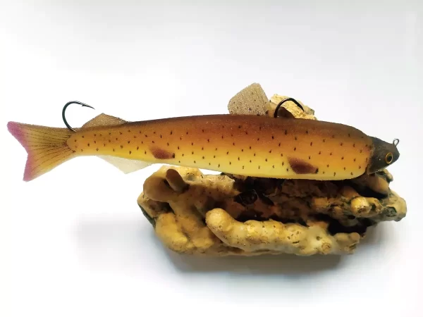 spuzvene ribe_25-37_2