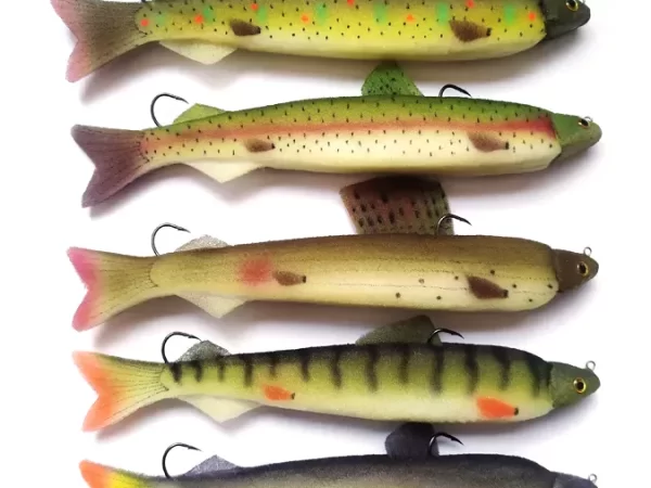 spuzvene ribe_25-37_4